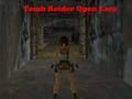שפּיל Tomb Raider ַארַאל ןֿפע  אָנליין