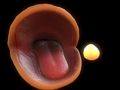 שפּיל שטנעמ-קַאּפ  אָנליין