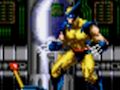 שפּיל Adamantium Rage - ענירעוולָאוו  אָנליין