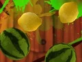 שפּיל Fruit Break אָנליין