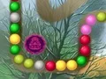 שפּיל Lost Island אָנליין