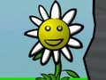 שפּיל Flower Power אָנליין