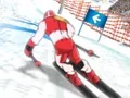 שפּיל Winter Sports: Slalom Hero אָנליין