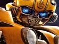 שפּיל Bumblebee Hidden Spots אָנליין