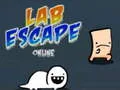 שפּיל Lab Escape Online אָנליין