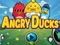 שפּיל Angry Ducks אָנליין