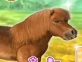 שפּיל My Dear Pony אָנליין