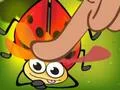 שפּיל Insect Cush אָנליין