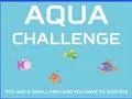 שפּיל Aqua Challenge אָנליין