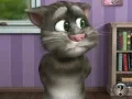 שפּיל Talking Tom Cat 2 אָנליין