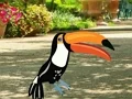 שפּיל Find Woodpecker Pair אָנליין