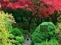 שפּיל Maple Leaf Garden Escape אָנליין