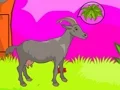 שפּיל Wolf Escape אָנליין