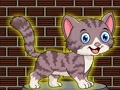 שפּיל Loveable Small Cat Escape אָנליין