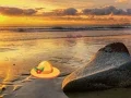 שפּיל Escape From Sunset Beach אָנליין