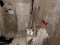 שפּיל Occupied אָנליין