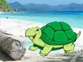 שפּיל Beach Crab Pair Escape אָנליין