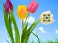 שפּיל Flower Lawn Escape אָנליין