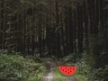 שפּיל Dense Forest Deer Escape אָנליין