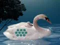 שפּיל Save The Swan Mother Child אָנליין