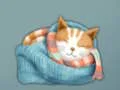 שפּיל Adorable Escape Find Cute Kitten אָנליין