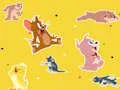 שפּיל The Tom and Jerry Show Find it! אָנליין