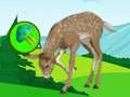שפּיל The Deer Meadow Escape אָנליין