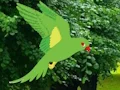 שפּיל Parrot Find The Nest אָנליין