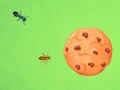 שפּיל Ant vs Cookie אָנליין