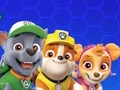 שפּיל Paw Patrol אָנליין