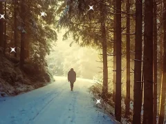 שפּיל Winter Hidden Stars אָנליין