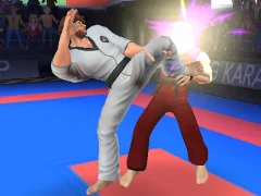 שפּיל Karate Fighter אָנליין