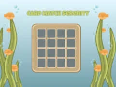 שפּיל Card Match Serenity אָנליין
