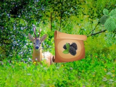 שפּיל Return To Alsunga Forest אָנליין