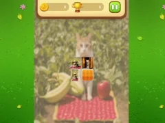 שפּיל Farm Cat Memory Match אָנליין