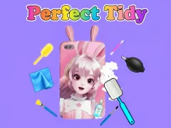 שפּיל Perfect Tidy אָנליין