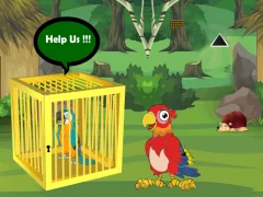 שפּיל Release Trapped Macaw Buddy אָנליין
