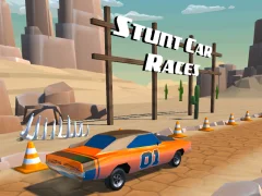 שפּיל Stunt car Races אָנליין