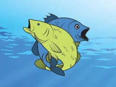 שפּיל Friendly Fish Coloring אָנליין