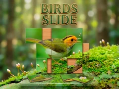 שפּיל Birds Slide אָנליין