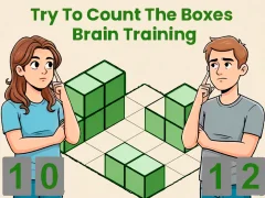 שפּיל Try To Count The Boxes Brain Training אָנליין
