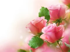 שפּיל Pink Roses אָנליין