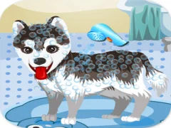 שפּיל My Cute Dog Bathing אָנליין