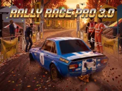 שפּיל Rally Race Pro 3 אָנליין