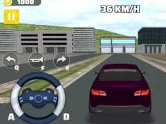 שפּיל The Long Drive אָנליין