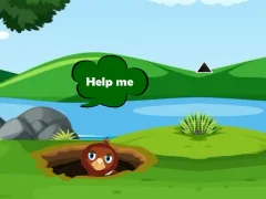 שפּיל Help Injured Bird Fallen Down אָנליין