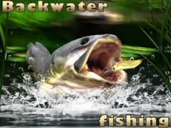 שפּיל Backwater Fishing אָנליין