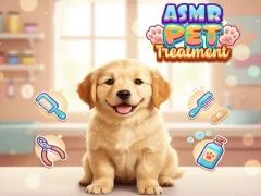 שפּיל Asmr Pet Treatment אָנליין