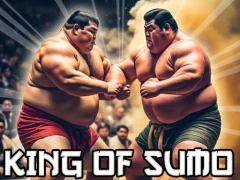 שפּיל King Of Sumo the ultimate brawl אָנליין