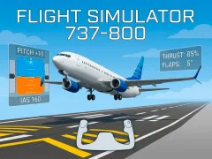 שפּיל Flight Simulator 737-800 אָנליין